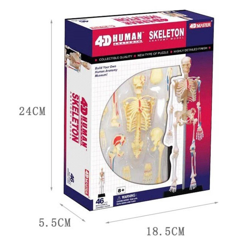 4D ماستر الهيكل العظمي البشري  - مراجعة Medical Lab And Science وسعره